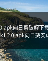 xrk1_3_0.apk向日葵破解下载安卓，xrk1 2 0.apk向日葵安卓