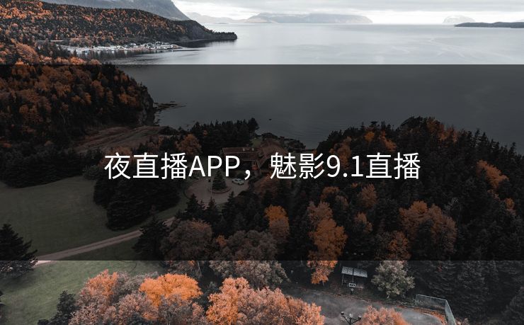 夜直播APP，魅影9.1直播