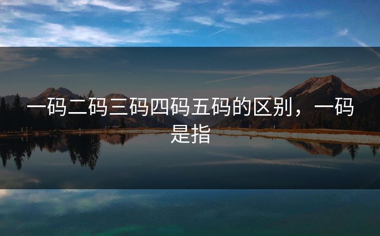 一码二码三码四码五码的区别,一码是指 一码二码三码四码五码的区别,一码是指
