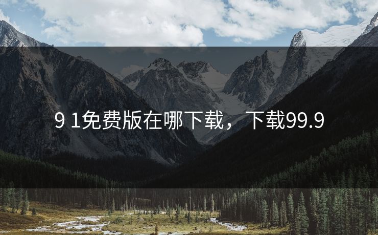9 1免费版在哪下载，下载99.9