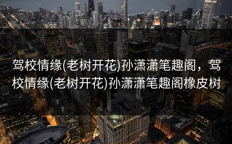 驾校情缘(老树开花)孙潇潇笔趣阁，驾校情缘(老树开花)孙潇潇笔趣阁橡皮树
