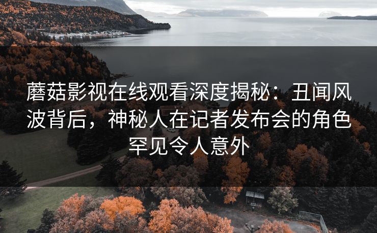 蘑菇影视在线观看深度揭秘：丑闻风波背后，神秘人在记者发布会的角色罕见令人意外