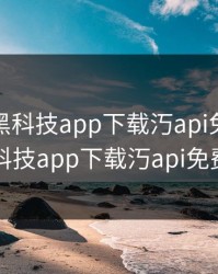 绿巨人黑科技app下载汅api免费，绿巨人黑科技app下载汅api免费破解版