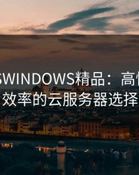 欧美VPSWINDOWS精品：高性能、高效率的云服务器选择