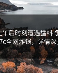 圈内人在午后时刻遭遇猛料 争议四起，17c全网炸锅，详情深扒