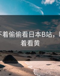 晚上睡不着偷偷看日本B站，晚上睡不着看黄