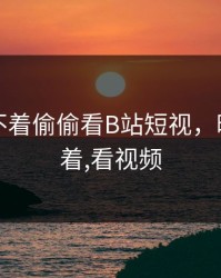 晚上睡不着偷偷看B站短视，晚上睡不着,看视频