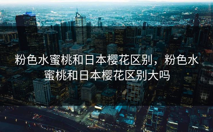 粉色水蜜桃和日本樱花区别，粉色水蜜桃和日本樱花区别大吗