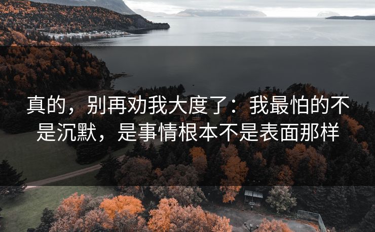 真的，别再劝我大度了：我最怕的不是沉默，是事情根本不是表面那样