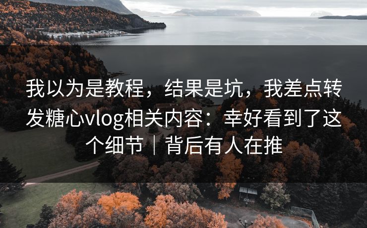 我以为是教程，结果是坑，我差点转发糖心vlog相关内容：幸好看到了这个细节｜背后有人在推