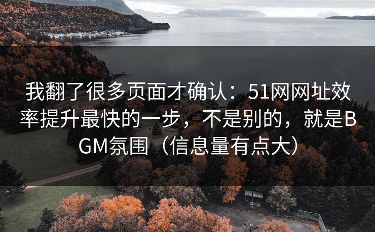 我翻了很多页面才确认：51网网址效率提升最快的一步，不是别的，就是BGM氛围（信息量有点大）
